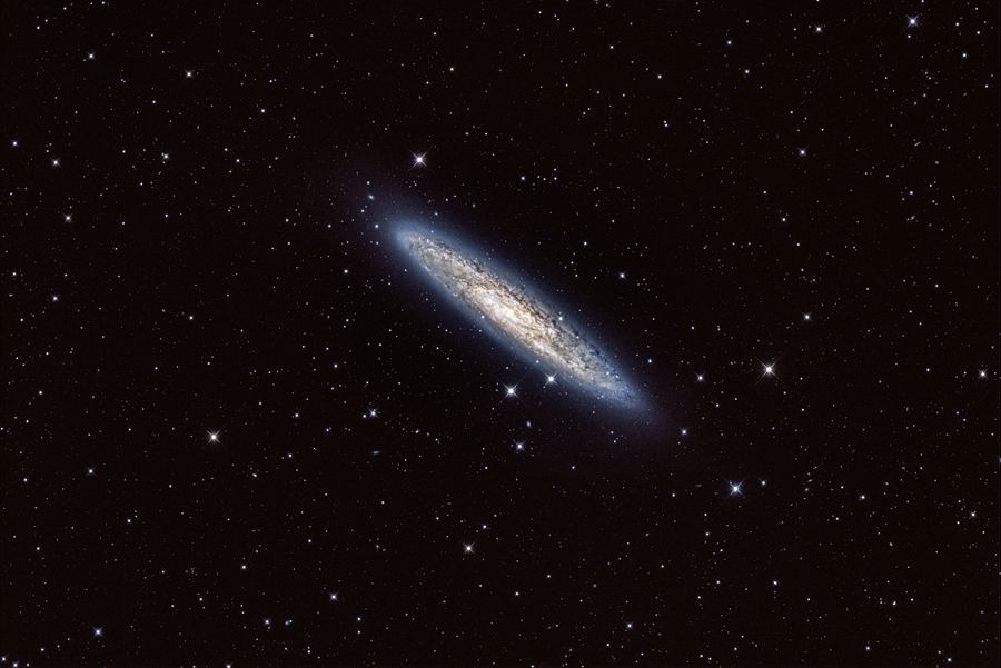 Image of the Sculptor Galaxy (NGC 253) 